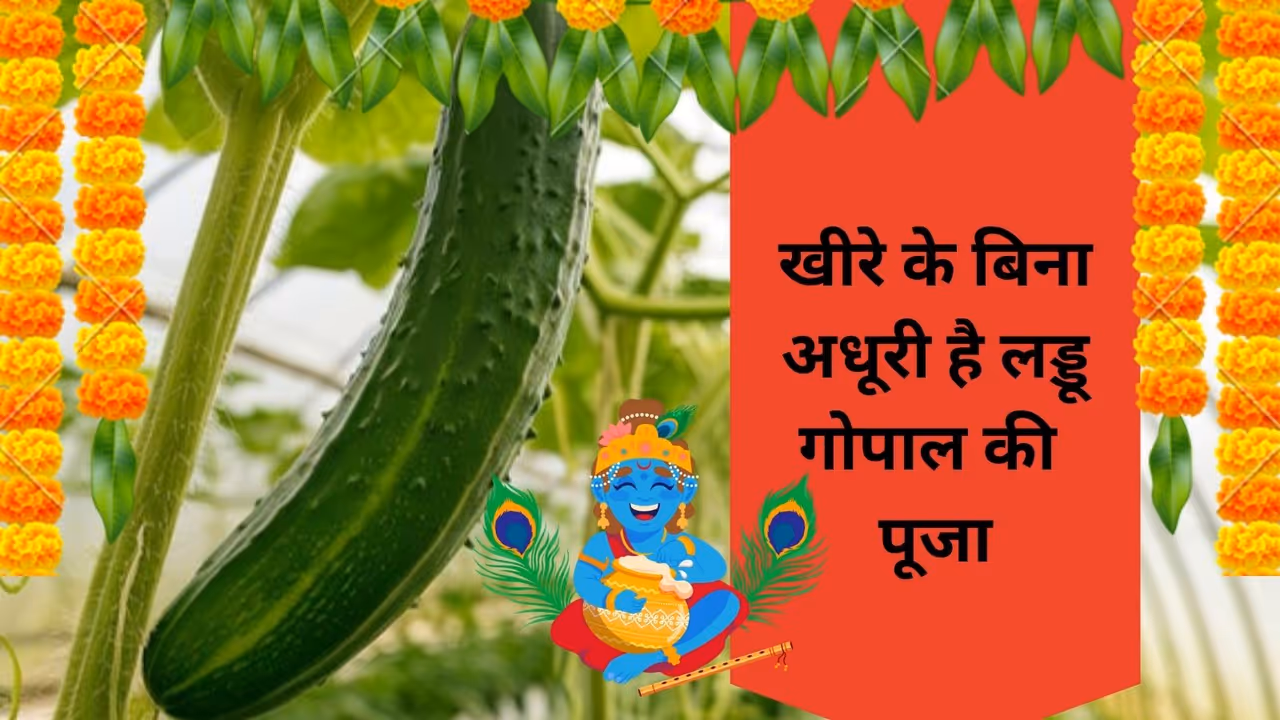 Shri krishna janmashtami