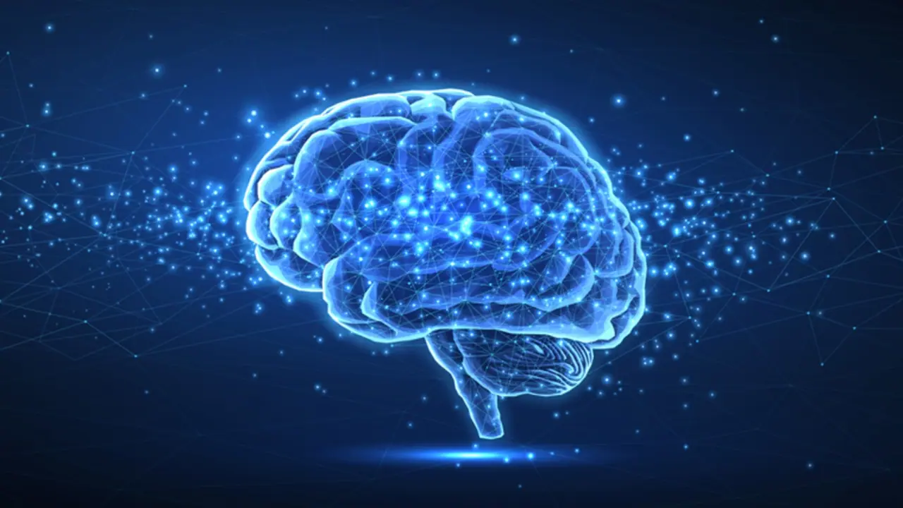 Lab grown human brain