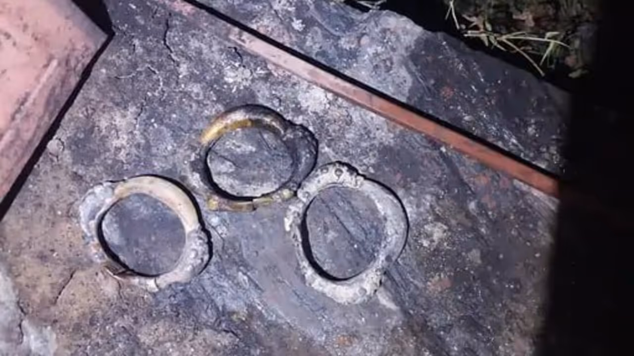 Udaipur Domestic Dispute Tragic Death Udaipur Domestic Dispute Tragic Death