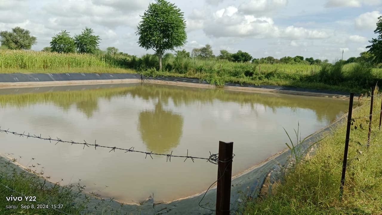 Rajsamand pond drowning Rajsamand pond drowning