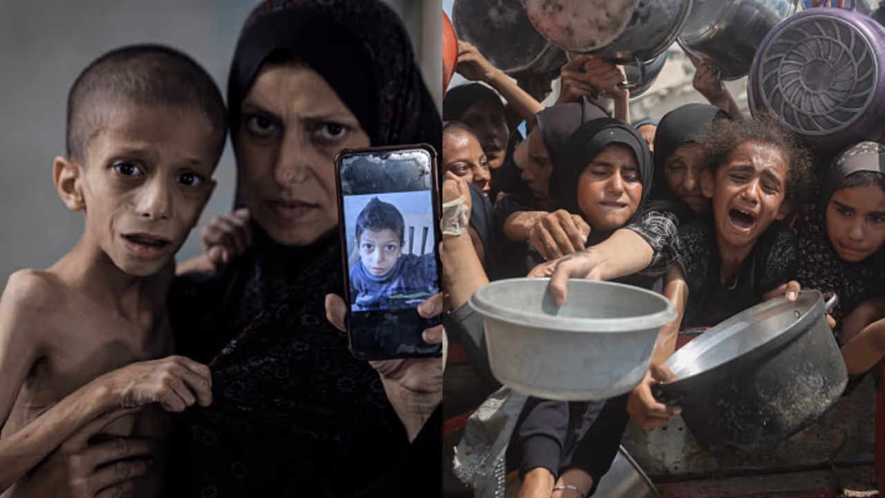 Israel Defence Forces Reject Gaza Hunger Allegations Amid Rising Malnutrition Deaths Israel Defence Forces Reject Gaza Hunger Allegations Amid Rising Malnutrition Deaths