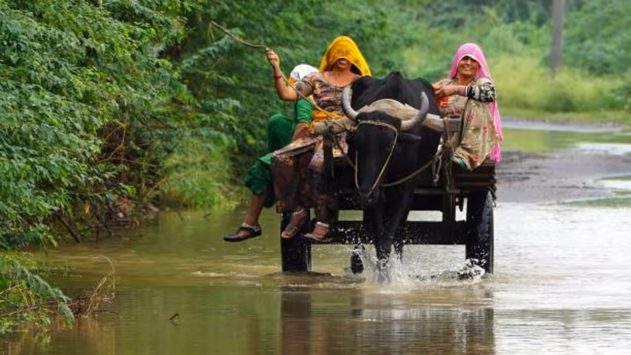 heavy rain Rajasthan heavy rain Rajasthan
