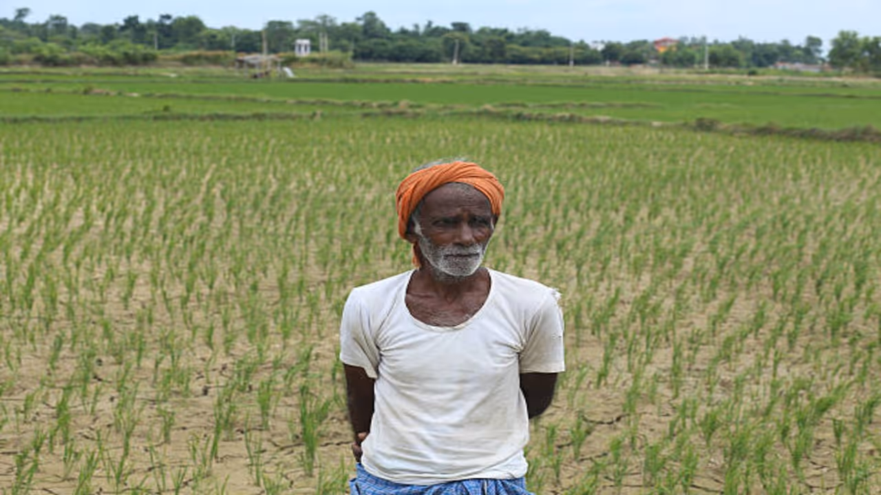 Patna Weather Today Patna Weather Today