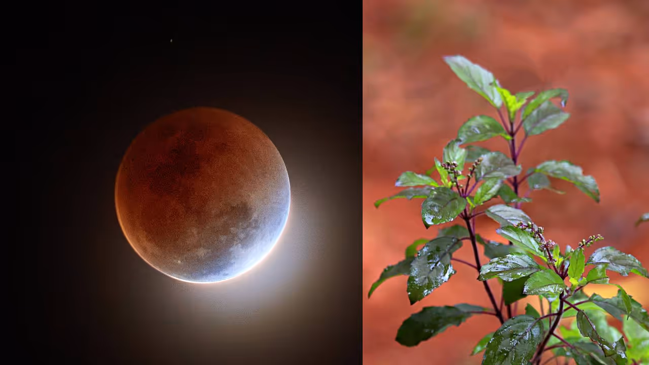 chandra grahan 2025 manytay