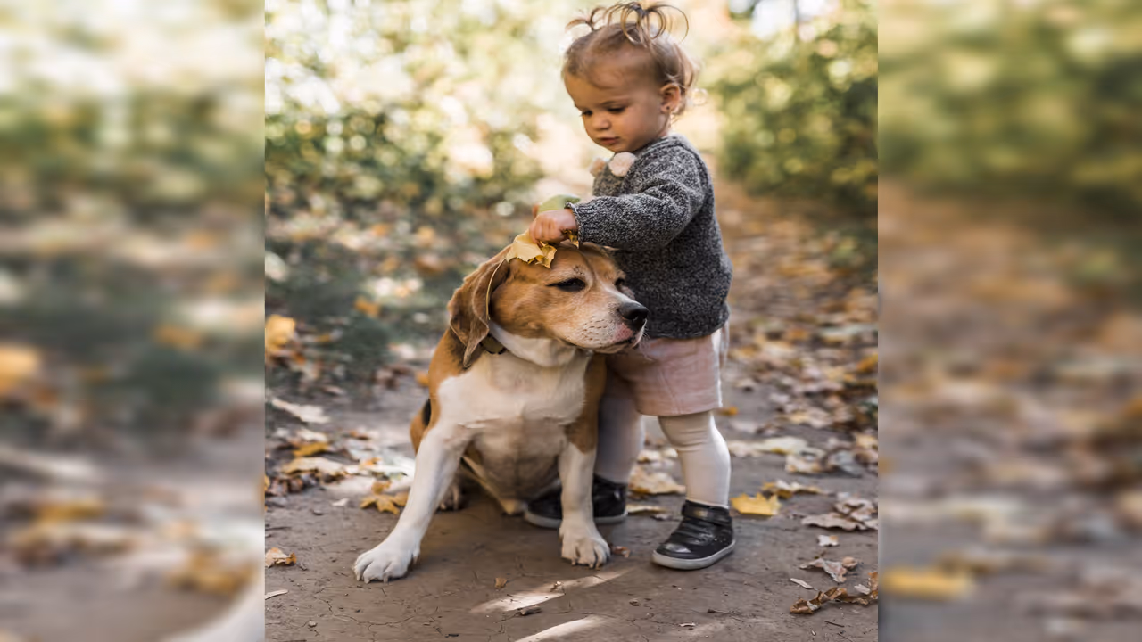 Dog Bite Prevention Tips