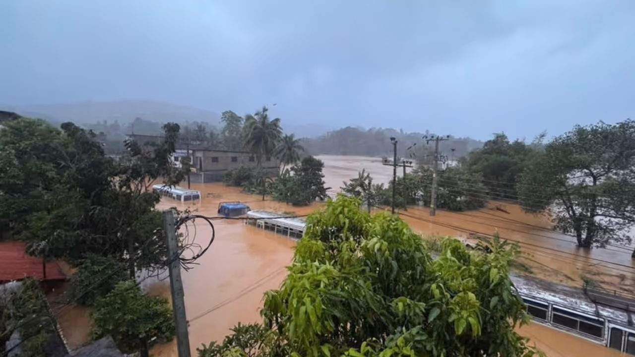  Cyclone dithwah tamilnadu rain deaths animals houses damage