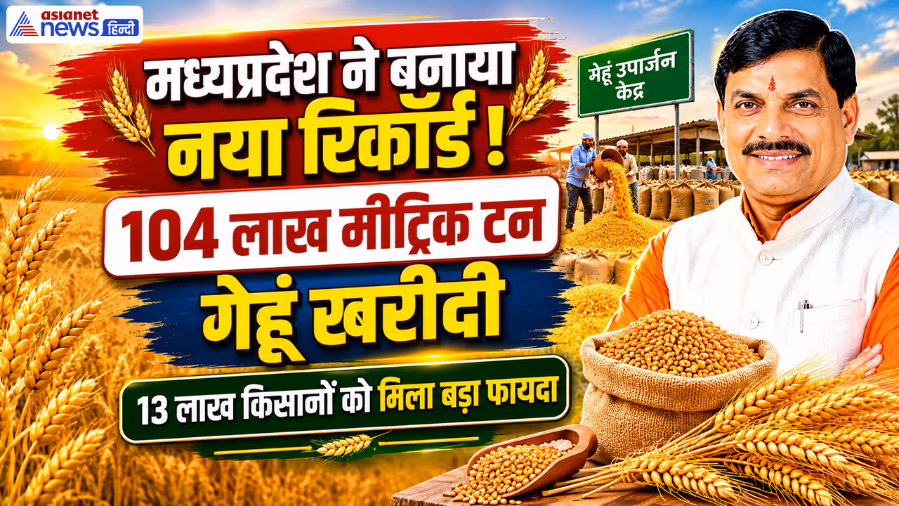 mp wheat procurement record purchase mp wheat procurement record purchase