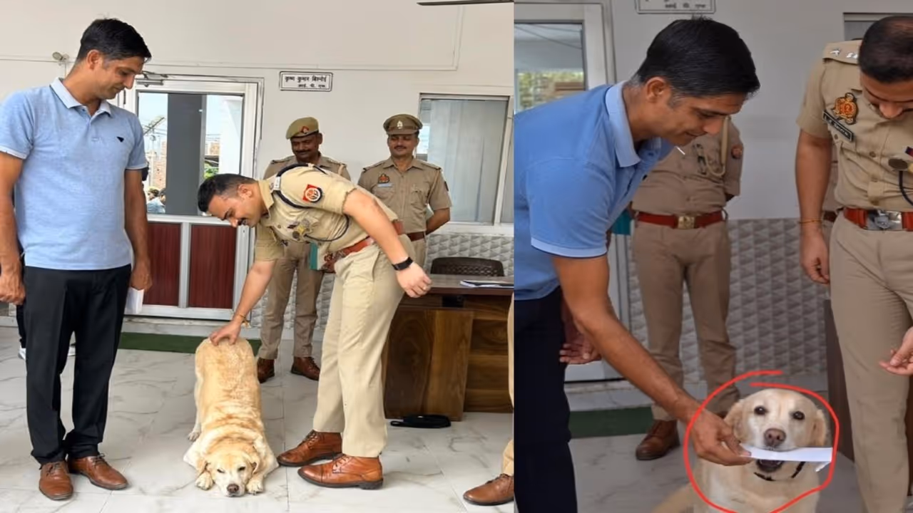 up police dog mary solves child abuse case sambhal accused arrested investigation breakthrough up police dog mary solves child abuse case sambhal accused arrested investigation breakthrough