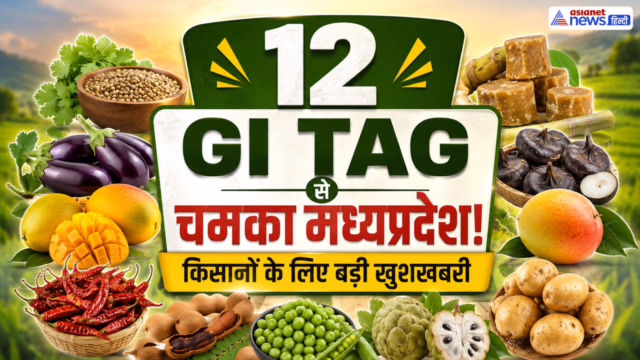MP GI Tags MP GI Tags