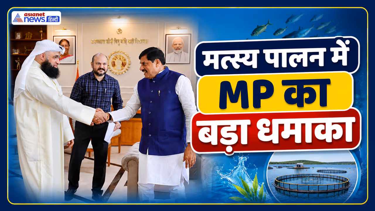mp fisheries investment mp fisheries investment