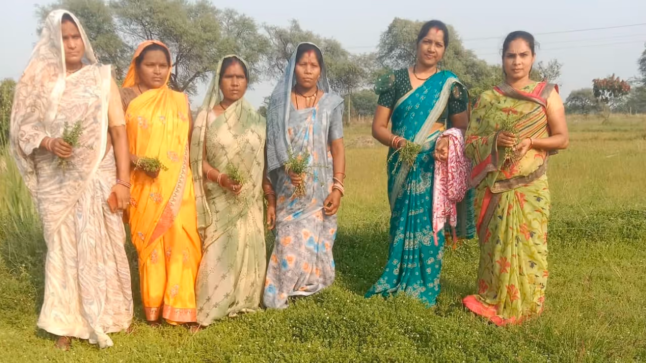 dhamtari Medicinal farming model dhamtari Medicinal farming model