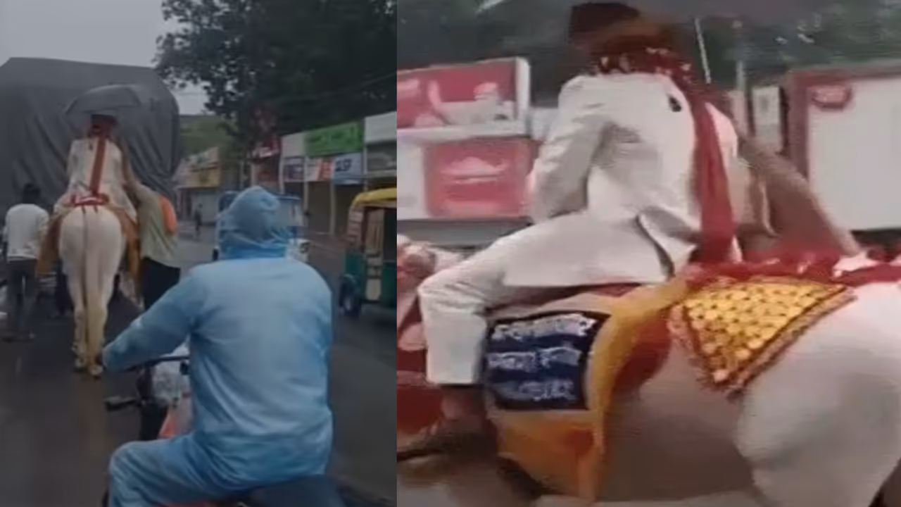 indore viral marriage video groom with four people baraat in rain indore viral marriage video groom with four people baraat in rain