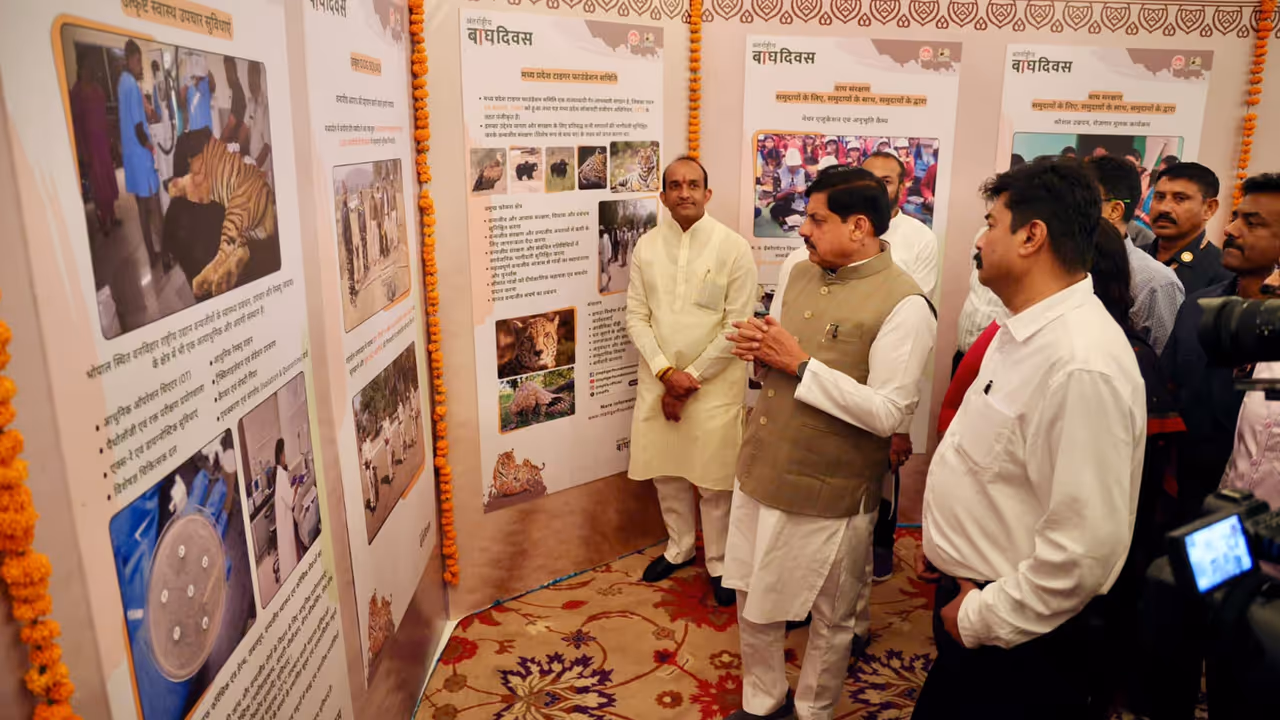 mp tiger state cm mohan yadav bhopal mp tiger state cm mohan yadav bhopal