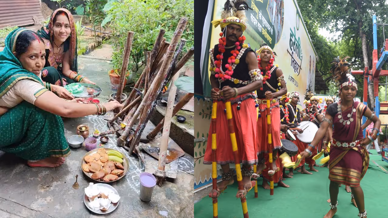 Chhattisgarh Hareli Tiha festival Chhattisgarh Hareli Tiha festival