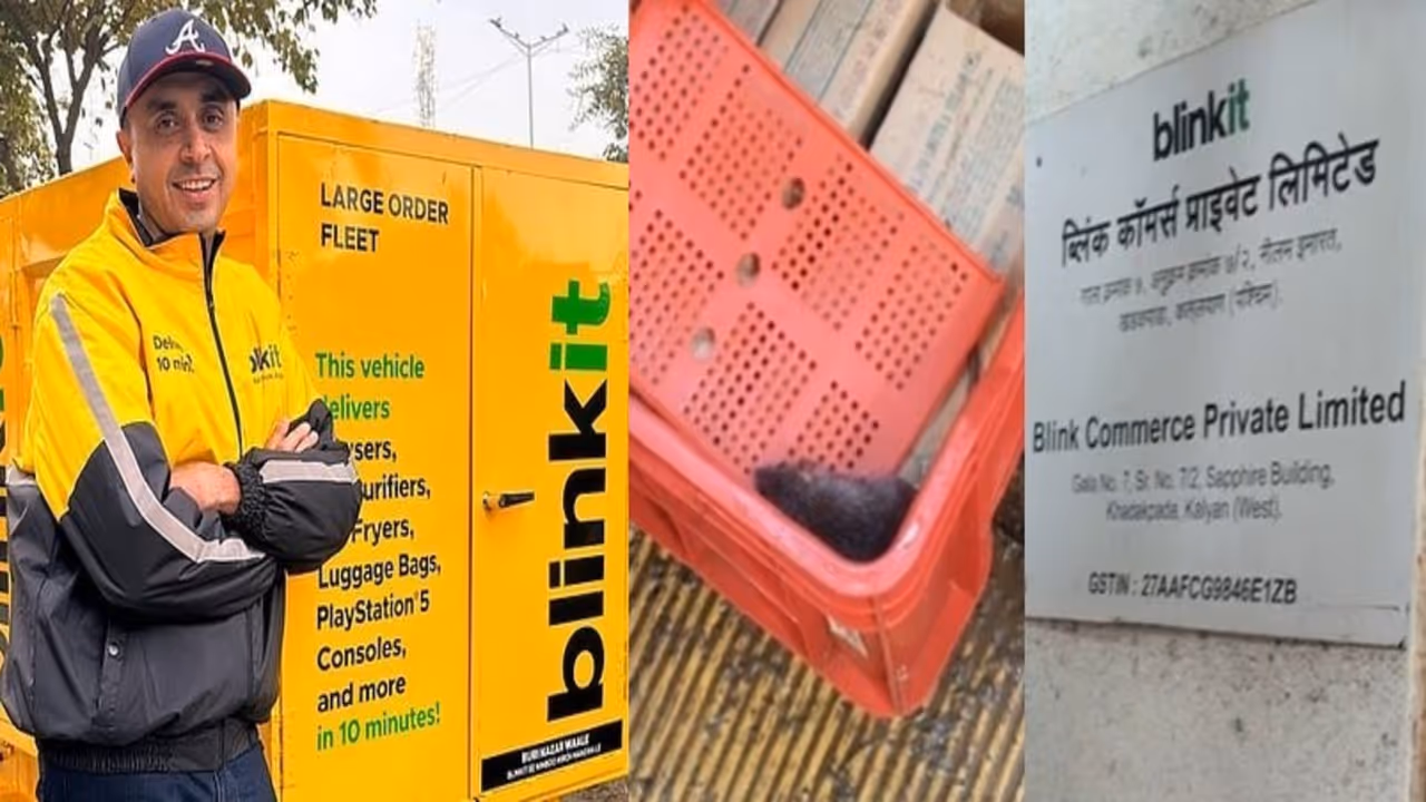 blinkit rat ice cream freezer food safety maharashtra fda zepto instamart action blinkit rat ice cream freezer food safety maharashtra fda zepto instamart action
