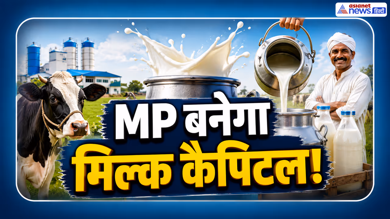 MP Dairy News MP Dairy News