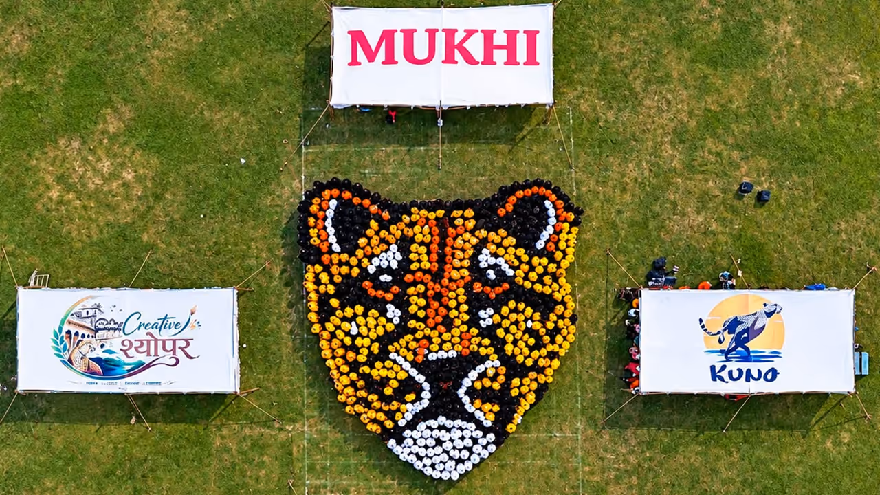 mp Project Cheetah 4 years mp Project Cheetah 4 years