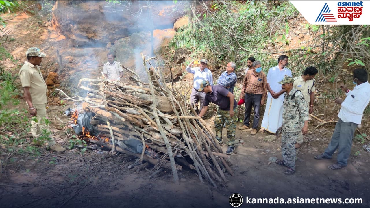 Tiger killing in Male Mahadeshwara Sanctuary