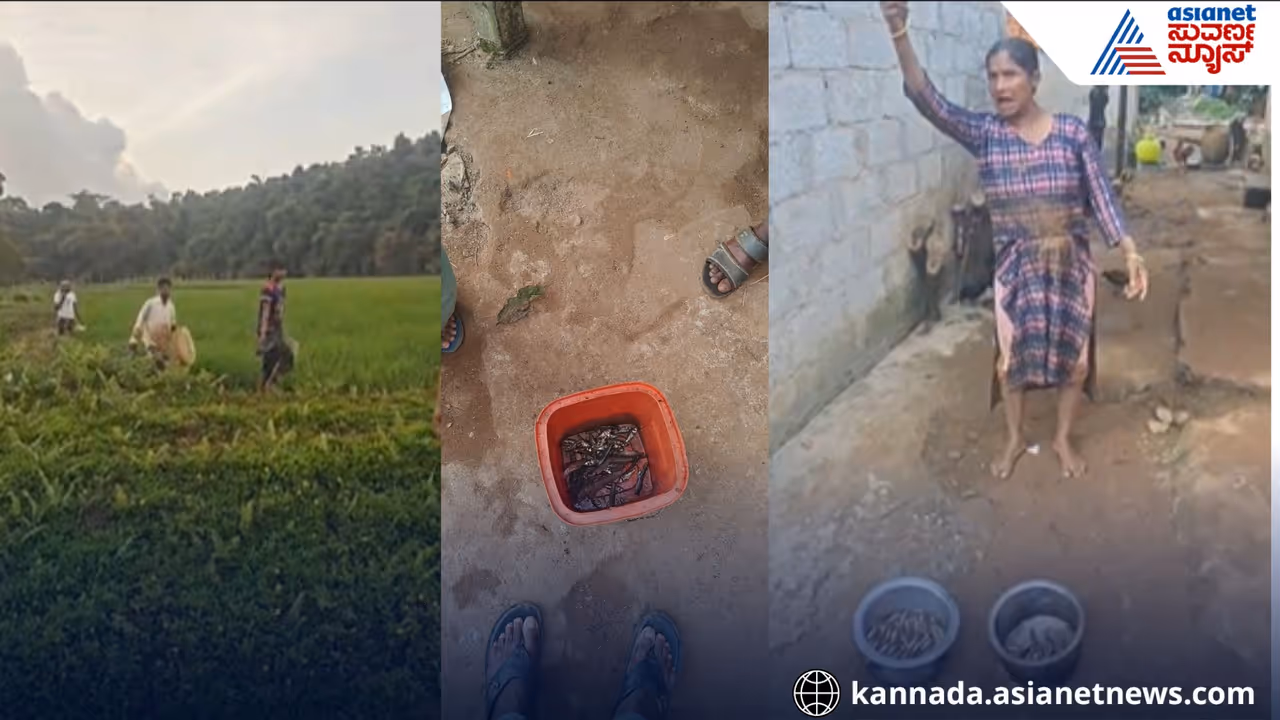 Assam workers in Bhagamandala