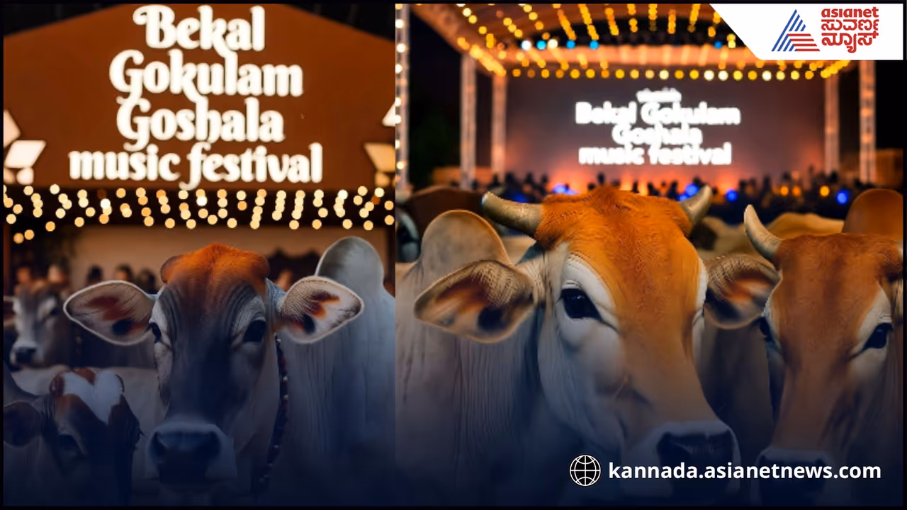 Bekal Gokulam Goshala music festival