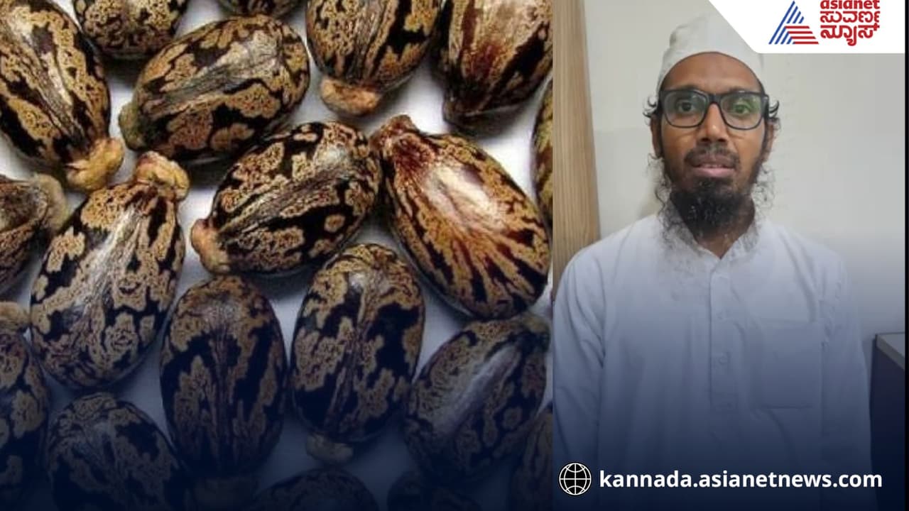 Ricin A new biological weapon threatening global security