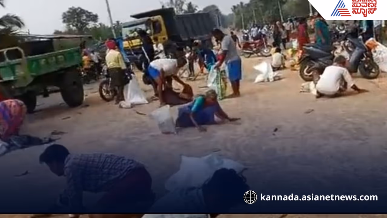 lorry accident in Sira Tumkur road People collecting spilled wheat