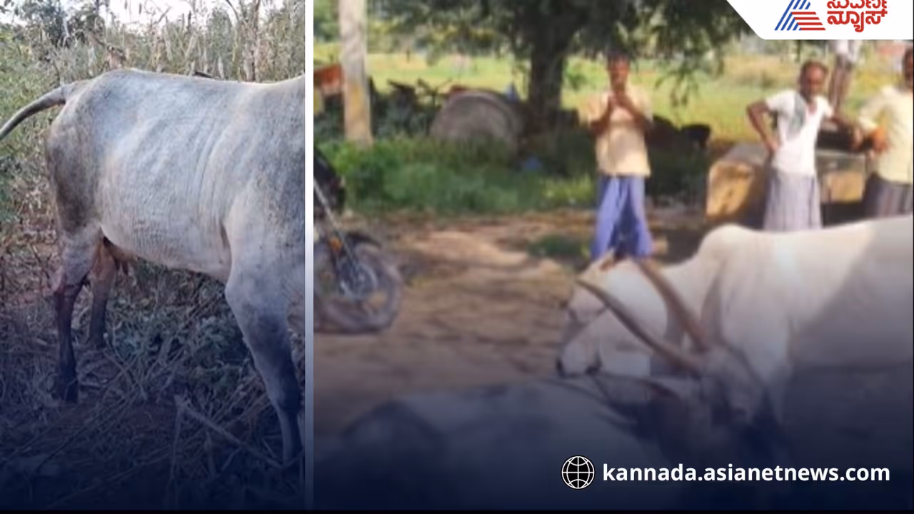 Koppal Crime news Koppal Crime news