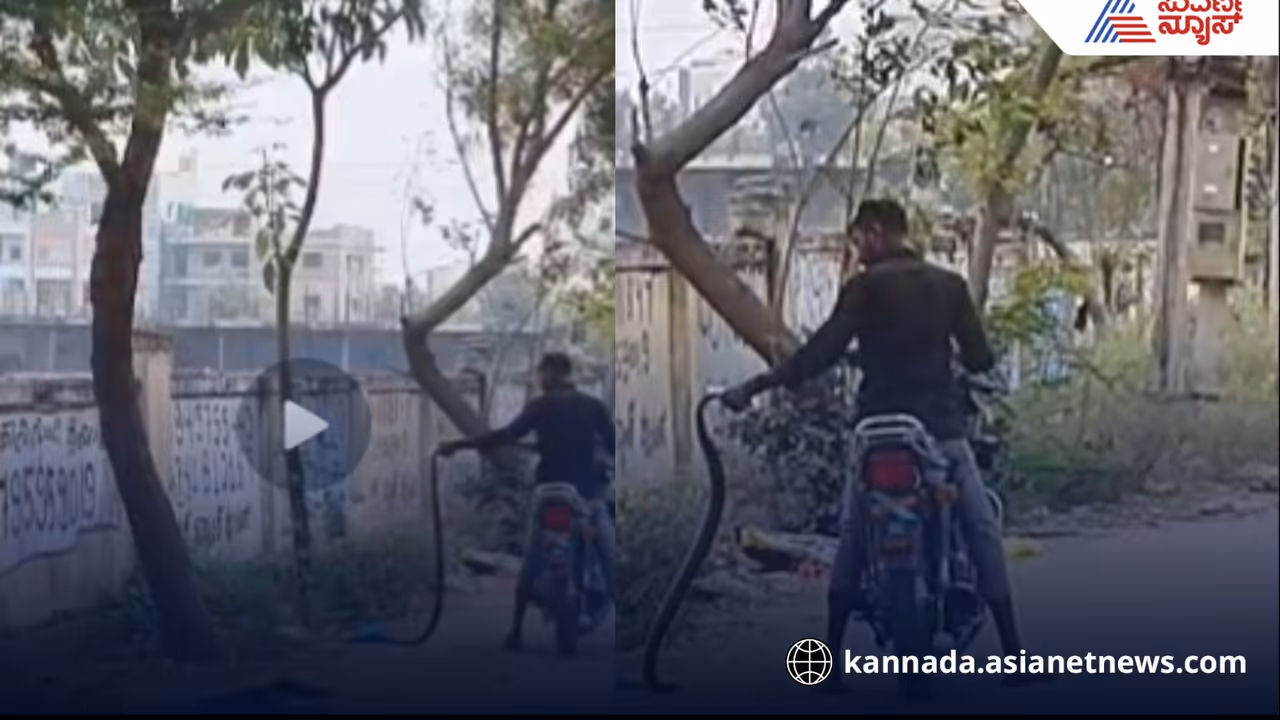 Viral Video Biker Dangerous Stunt Dragging 6 Foot Snake in Sindhanur Raichur