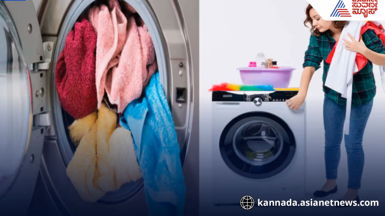 Washing Machine Guide Powder vs Liquid Detergent Washing Machine Guide Powder vs Liquid Detergent