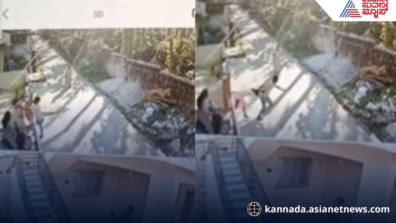 Youth Drags Woman by Hair in Chikkamagaluru Over Property Lease Dispute Youth Drags Woman by Hair in Chikkamagaluru Over Property Lease Dispute