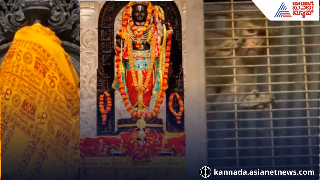 Ayodhya Ram Lalla Sculptor Arun Yogiraj Shares Emotional Clip of Monkey Devotion Ayodhya Ram Lalla Sculptor Arun Yogiraj Shares Emotional Clip of Monkey Devotion