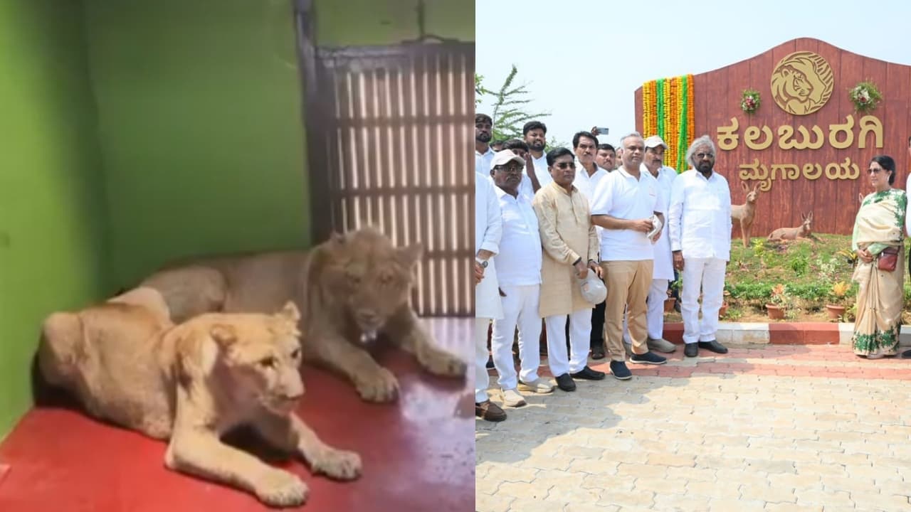 New Destination for Animal Lovers Spectacular Zoo Inaugurated in Kalaburagi Check Details New Destination for Animal Lovers Spectacular Zoo Inaugurated in Kalaburagi Check Details
