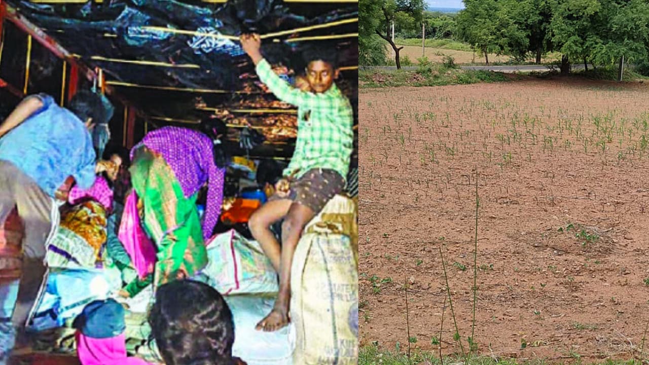 Rain Deficit Forces Kudligi Farmers to Migrate to Cities Rain Deficit Forces Kudligi Farmers to Migrate to Cities