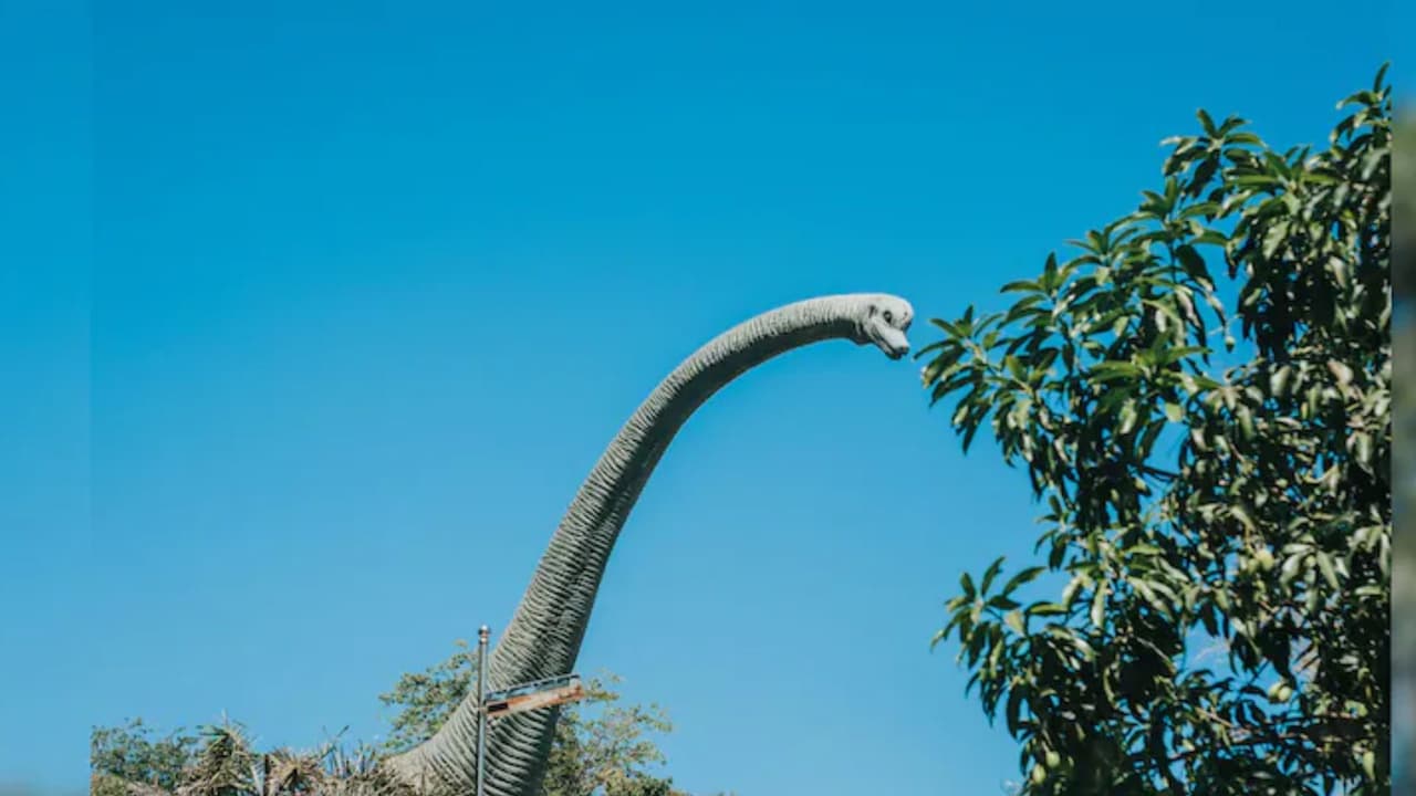 thailand discovers new long necked dinosaur species from the jurassic period fossil dates back 150 million years thailand discovers new long necked dinosaur species from the jurassic period fossil dates back 150 million years