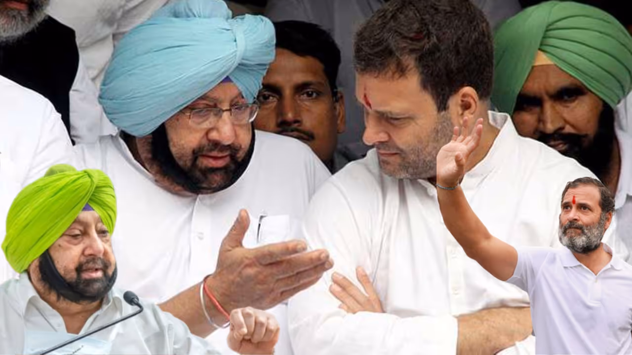Rahul Gandhi named Capt Amarinder singh As his Favorite politician in bjp party rav Rahul Gandhi named Capt Amarinder singh As his Favorite politician in bjp party rav