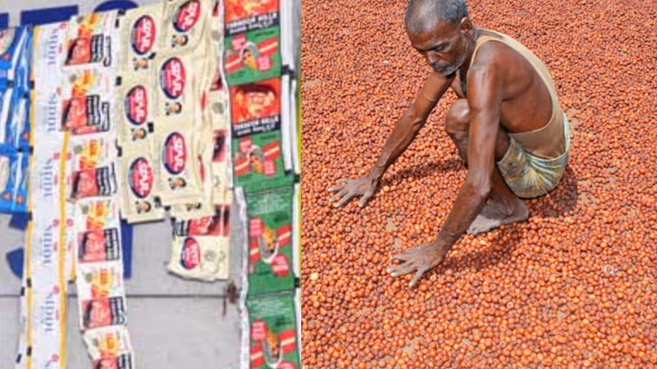 Complete ban on pan masala and gutkha in Karnataka Food Department order what impact on arecanut growers rav Complete ban on pan masala and gutkha in Karnataka Food Department order what impact on arecanut growers rav