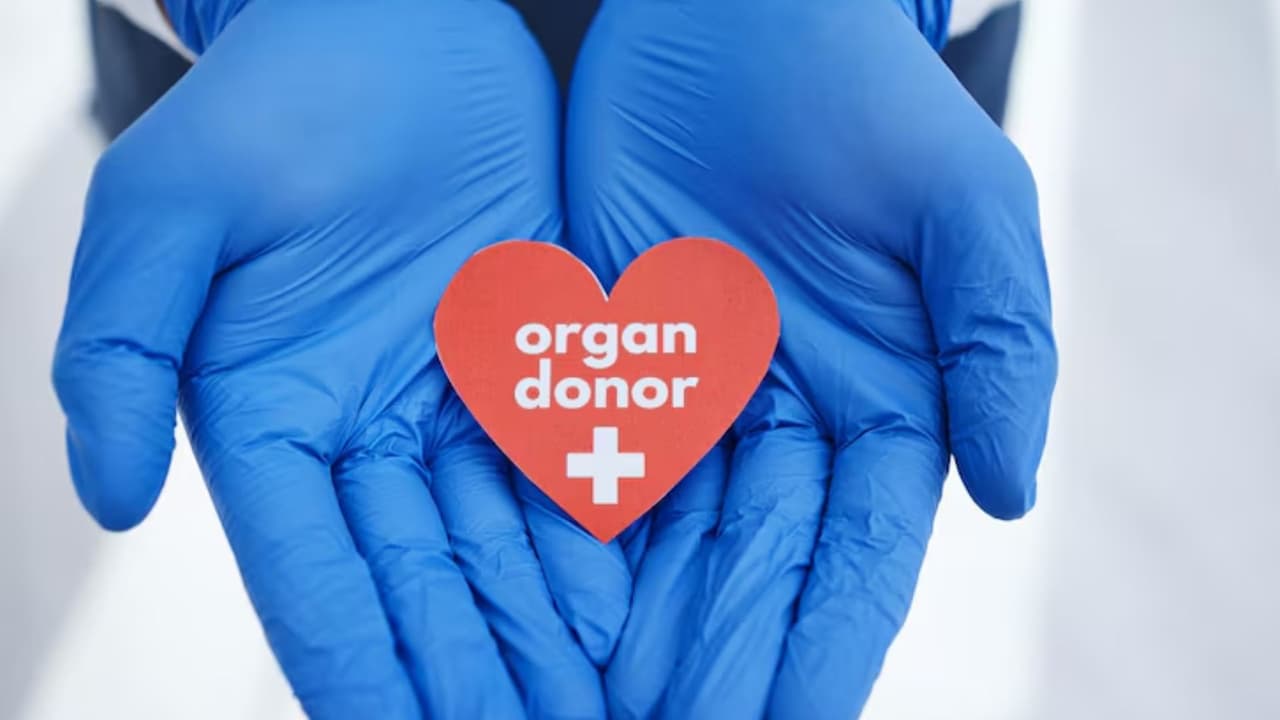 Organ Donation Explain Donate your organs if you wish to live on even after death Organ Donation Explain Donate your organs if you wish to live on even after death