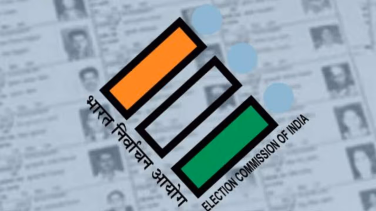 Twins flagged as logical discrepancy in Karnataka s SIR Twins flagged as logical discrepancy in Karnataka s SIR