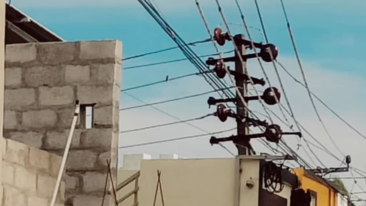 KR Nagar Mysuru KR Nagar Mysuru