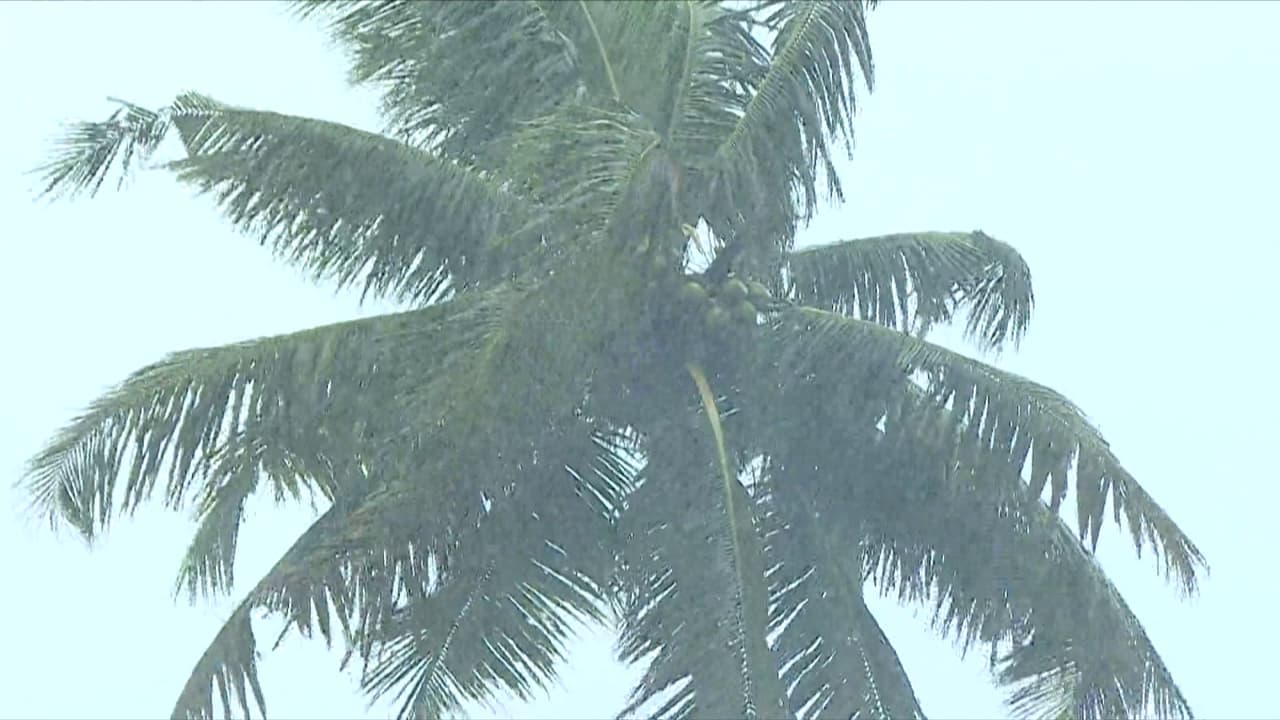 kerala rain