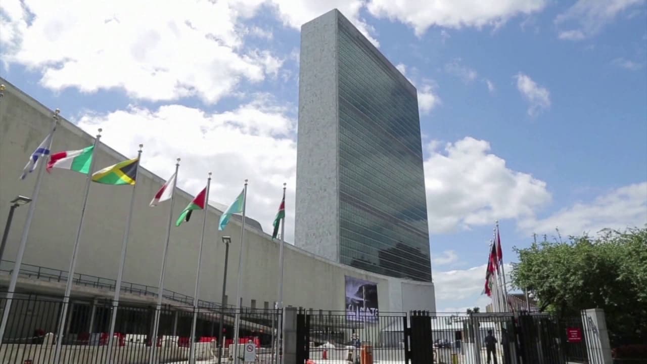 UNITED NATIONS UNITED NATIONS