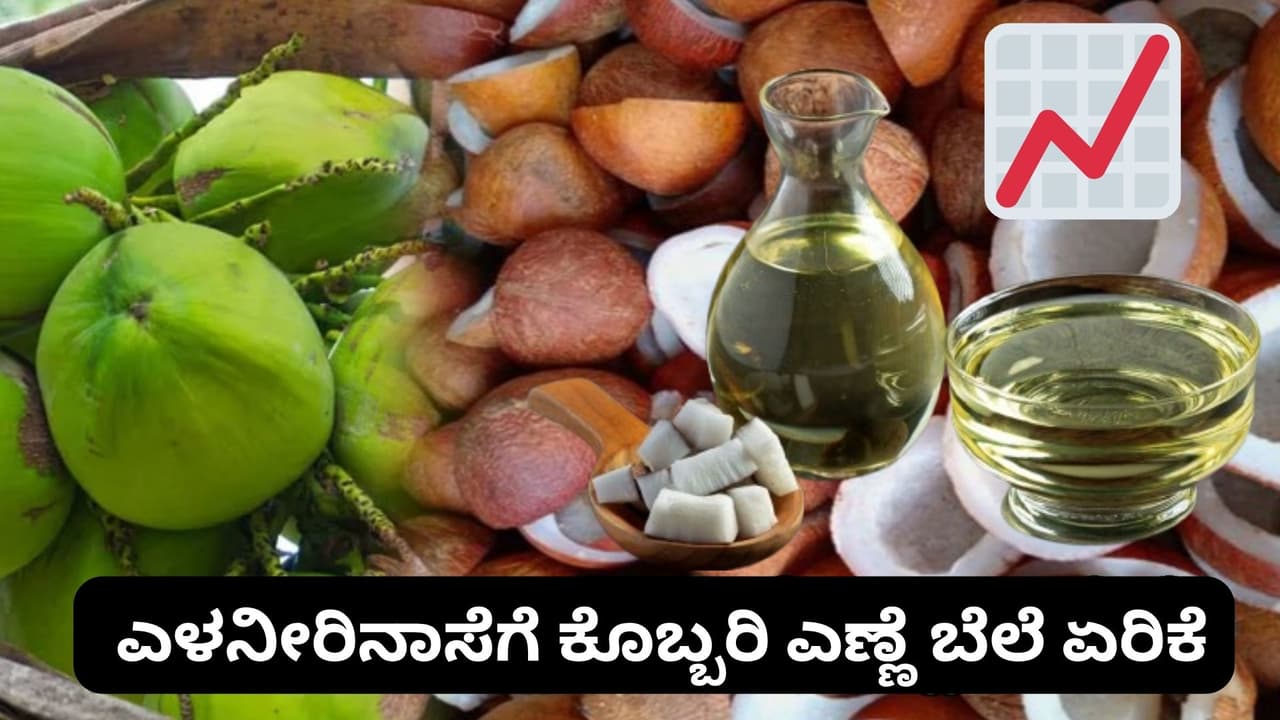 Karnataka Faces Coconut Oil Price Karnataka Faces Coconut Oil Price