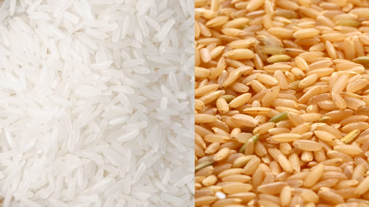 rice 