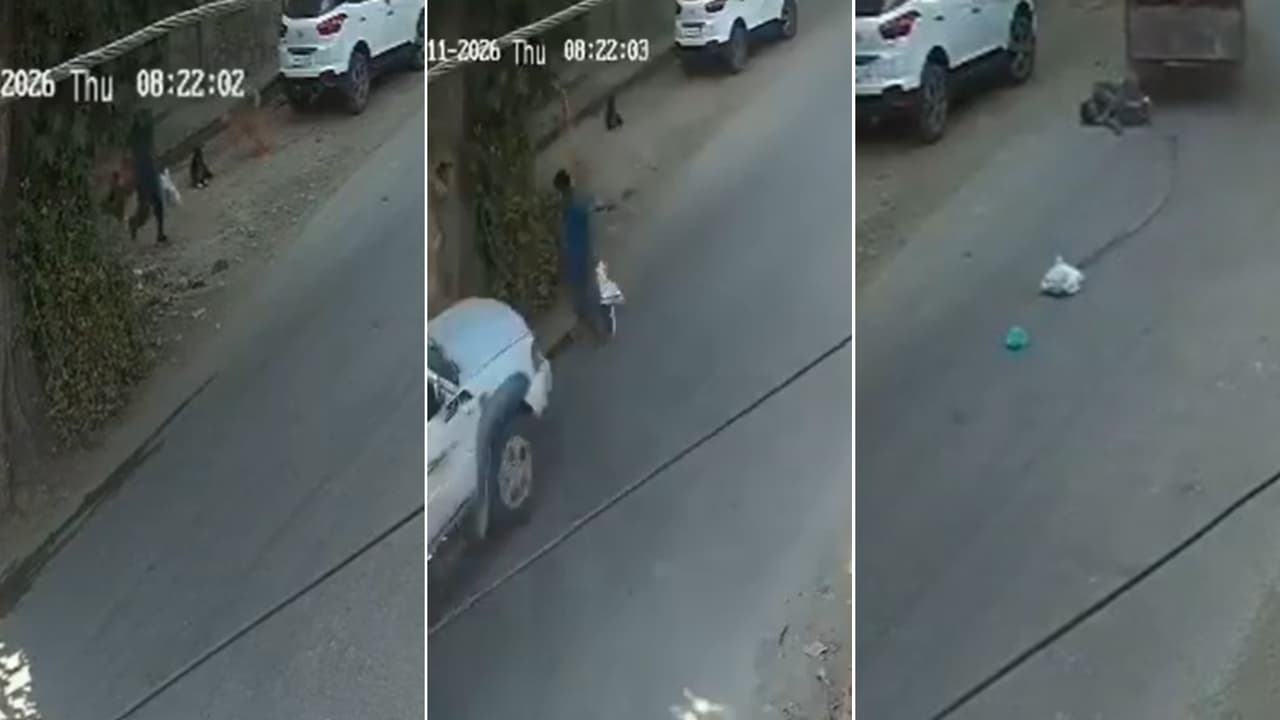 Jammu Kashmir Man Suffers Critical Injuries After Fleeing Stray Dogs and Being Hit by Vehicle in Budgam Jammu Kashmir Man Suffers Critical Injuries After Fleeing Stray Dogs and Being Hit by Vehicle in Budgam