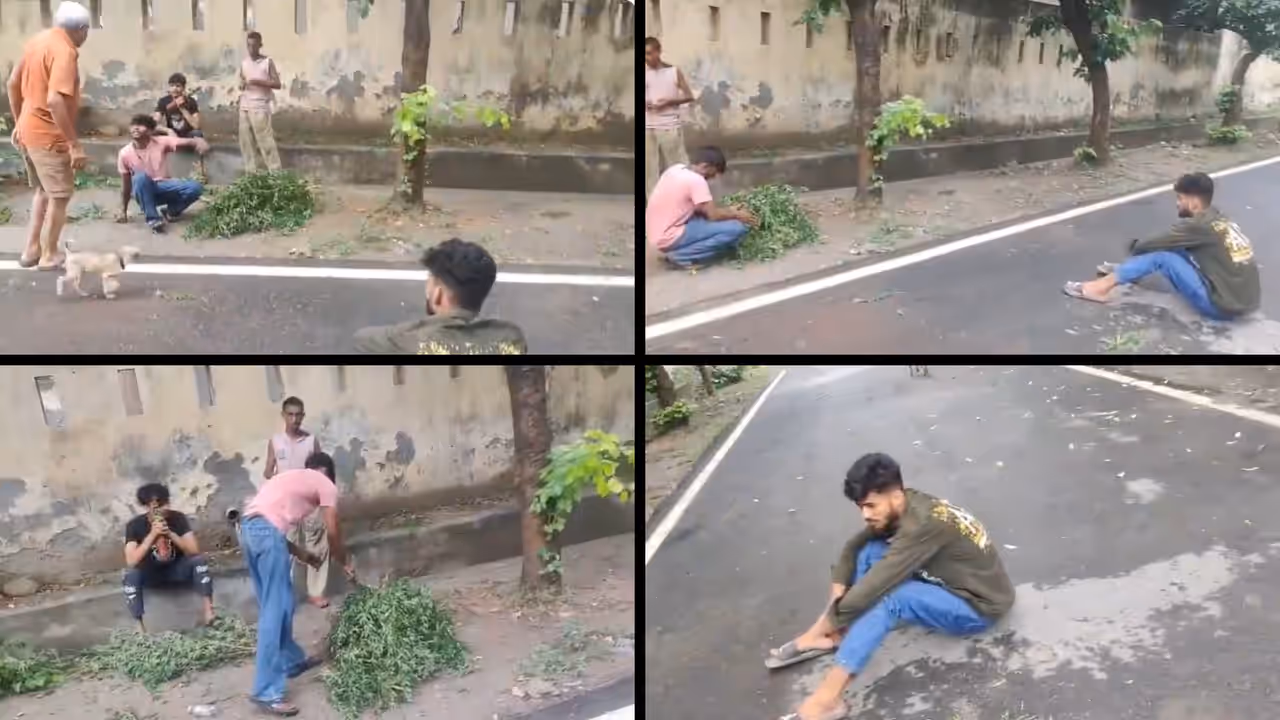 Noida roadside confrontation goes viral after man questions youths over alleged marijuana use Noida roadside confrontation goes viral after man questions youths over alleged marijuana use