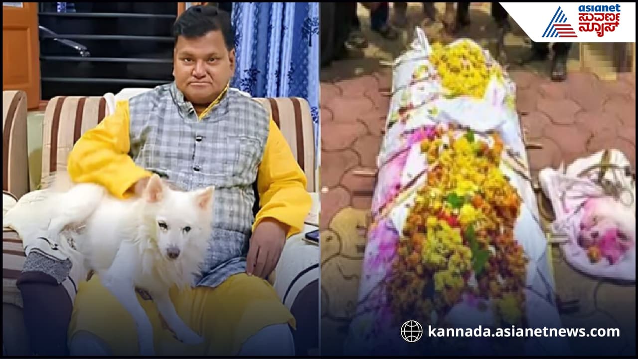 Dog death Dog death