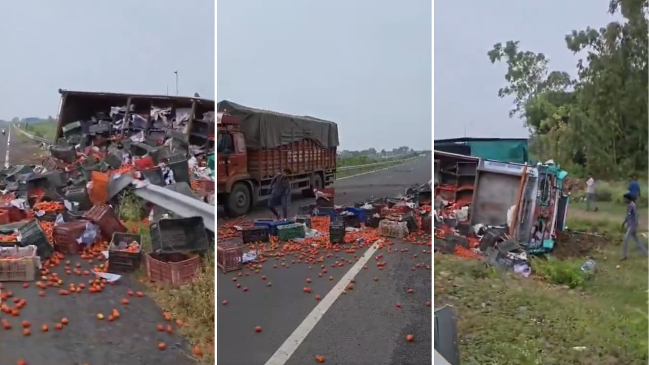 Tomatoes Spill Across Delhi Mumbai Expressway After Truck Overturns In MP, Video Viral Tomatoes Spill Across Delhi Mumbai Expressway After Truck Overturns In MP, Video Viral