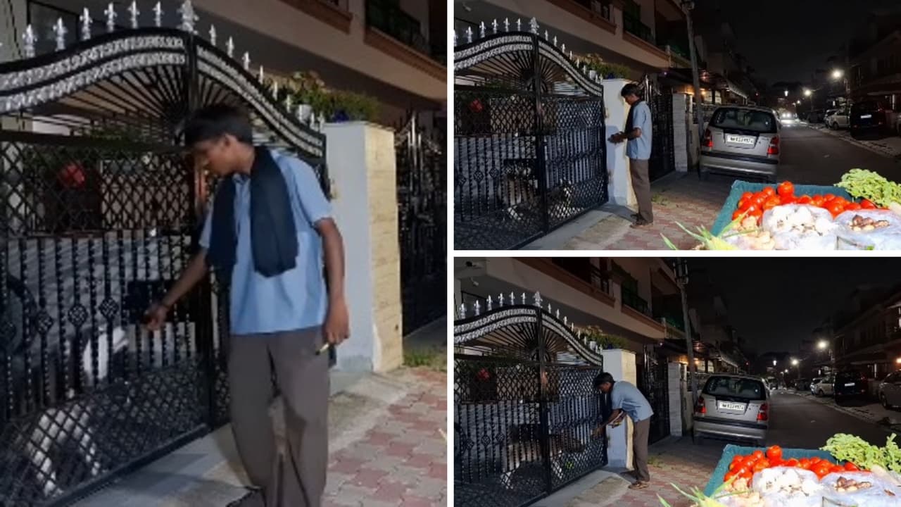 Bright Side Stories Viral Video of Chandigarh Vegetable Vendor Bond With Husky Wins Hearts Online Bright Side Stories Viral Video of Chandigarh Vegetable Vendor Bond With Husky Wins Hearts Online