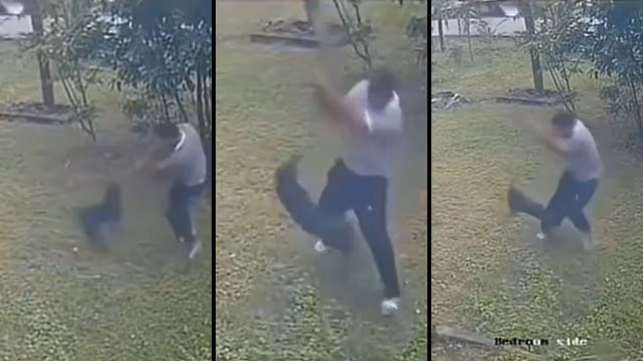 'Cricket Shot Or Attack' Man's Unusual Way Of Shooing Away Barking Dog Sparks Laughter And Debate 'Cricket Shot Or Attack' Man's Unusual Way Of Shooing Away Barking Dog Sparks Laughter And Debate
