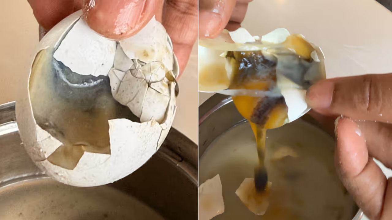 Swiggy Instamart Order Sparks Food Safety Debate Rotten egg Viral Video Swiggy Instamart Order Sparks Food Safety Debate Rotten egg Viral Video